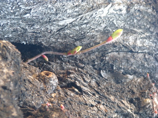 ..more of the growth...
