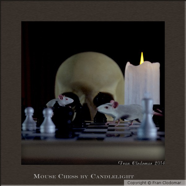 Mouse Chess by CandleLight