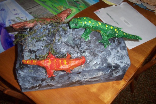 lizards
