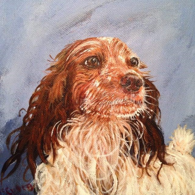 Harry after his swim