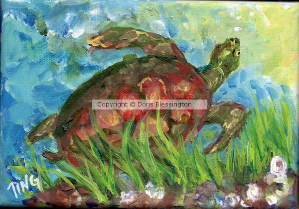Tybee Turtle in Marsh   mini #5