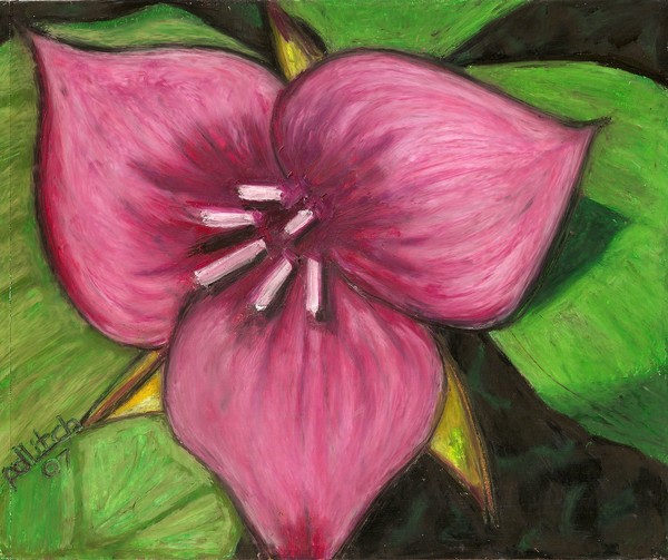 Trillium