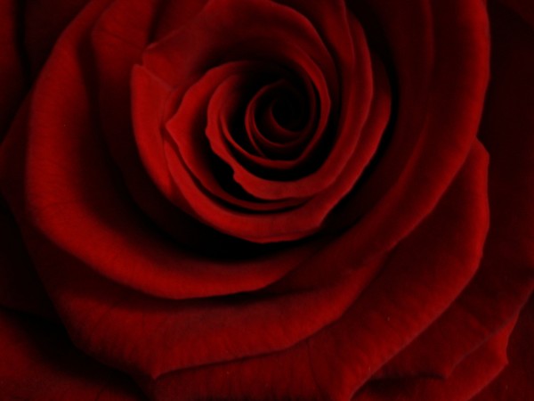 From the Heart