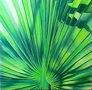palm leaf