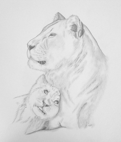 Lion Love