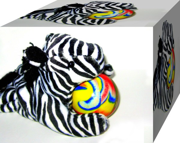 Zebra cube