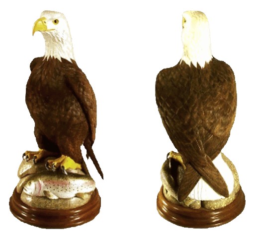 American Bald Eagle with Rainbow Trout