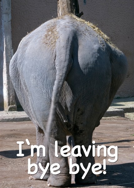 leaving...