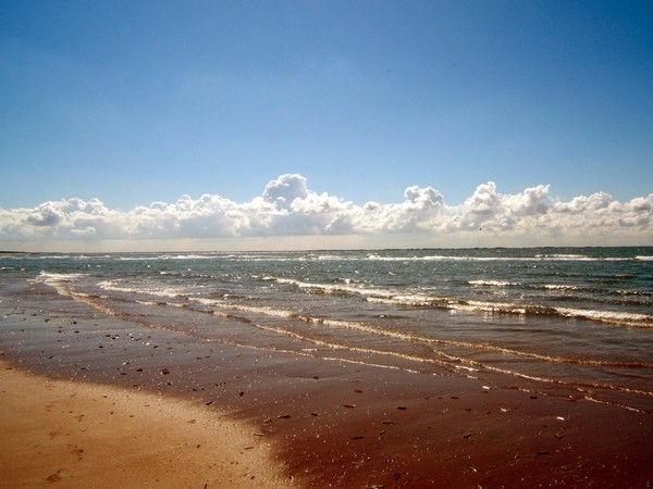 The sea