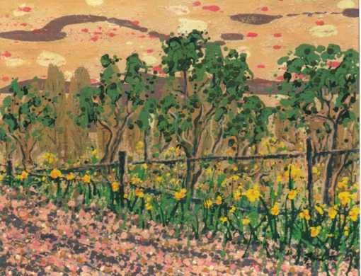 Daffodils