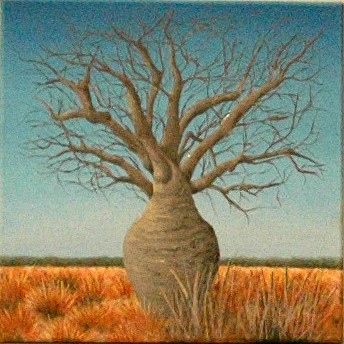 The Boab Tree - SOLD