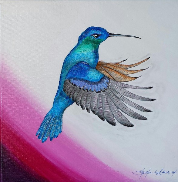 Hummingbird Away Alpha