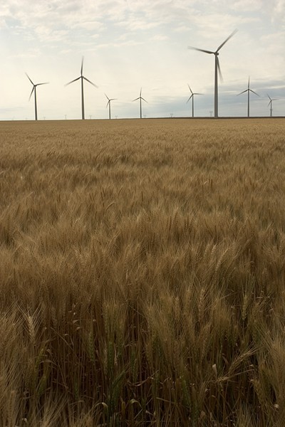 Wind Generators and wheat field