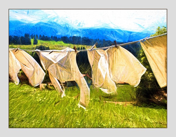 Laundry Day
