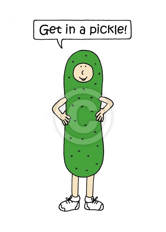 National Pickle Day November 14th