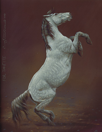 Equus