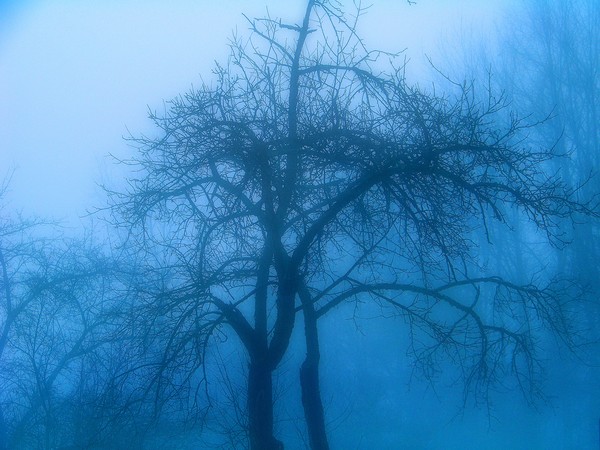 Winters Touch