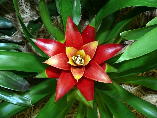 Indoor display #2 Lauritzen Gardens