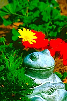 Happiness in the Garden