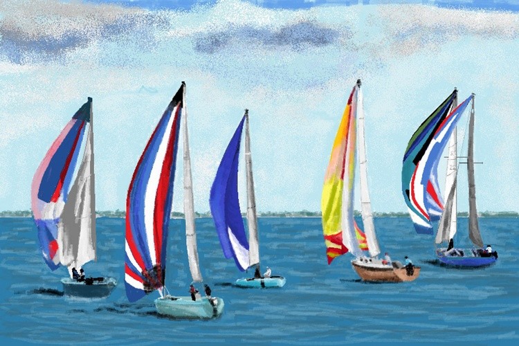 The Race
