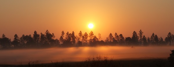 orange sunrise