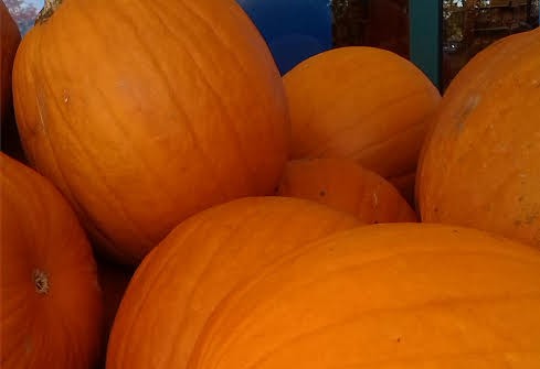 Orange Look Of Autumn