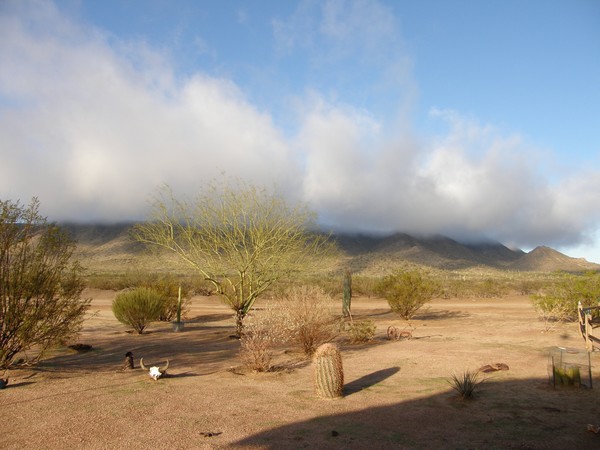 Out My Front Door