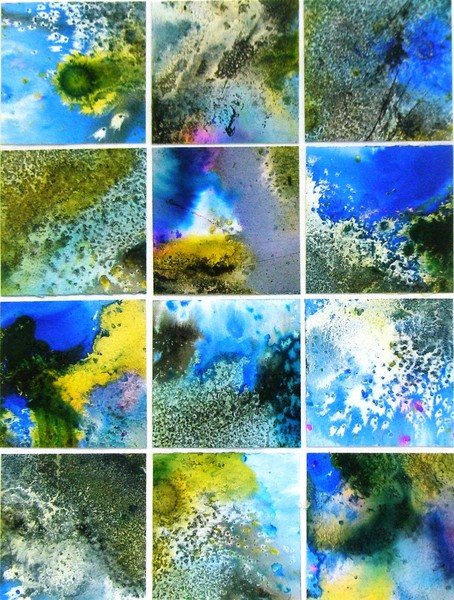 Great Barrier Reef II