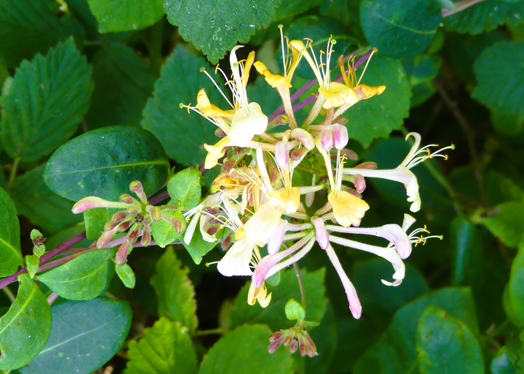 P1280246