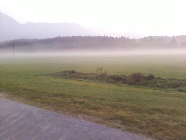 Morning fog