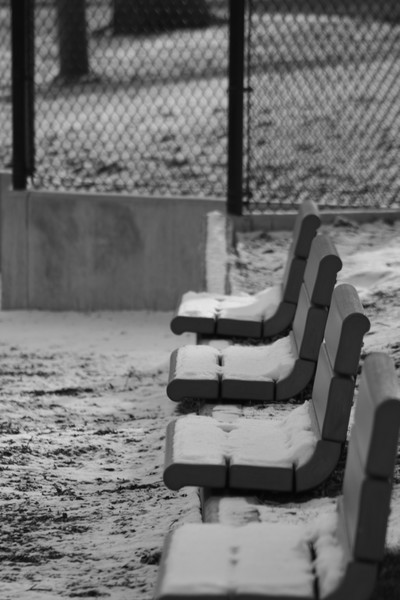 Snowy benches