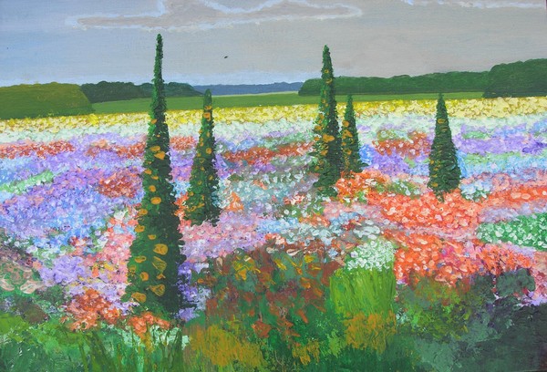 Field of Flowers