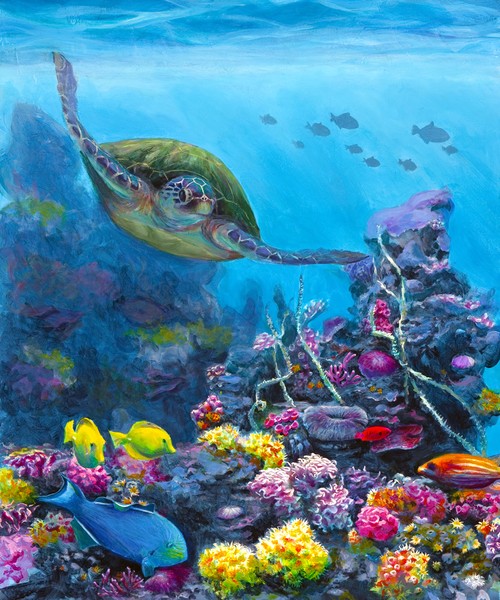 Secret Sanctuary - Green Sea Turtle