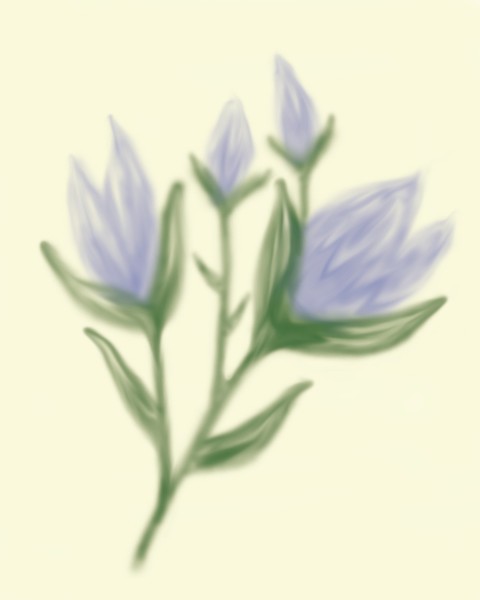 wildflower