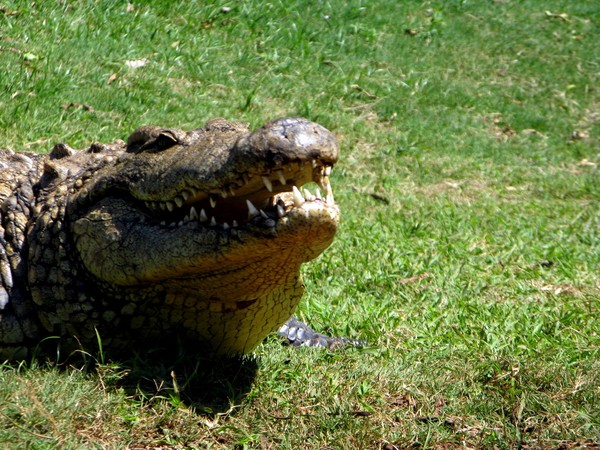 IMG 2762 resize