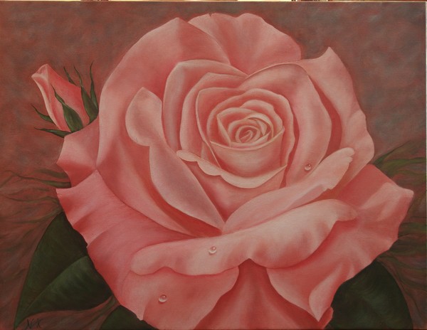 Rose Morning