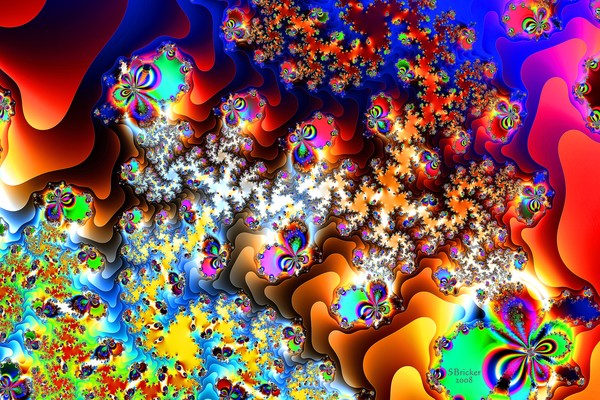 Inside the Singularity