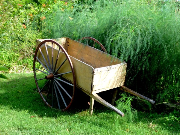 The Potter's Cart