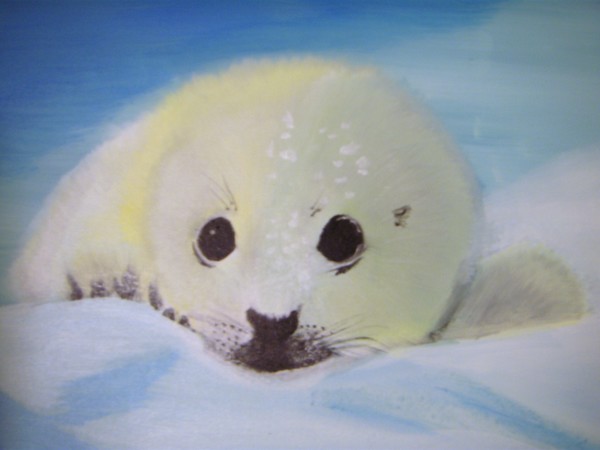 snow baby