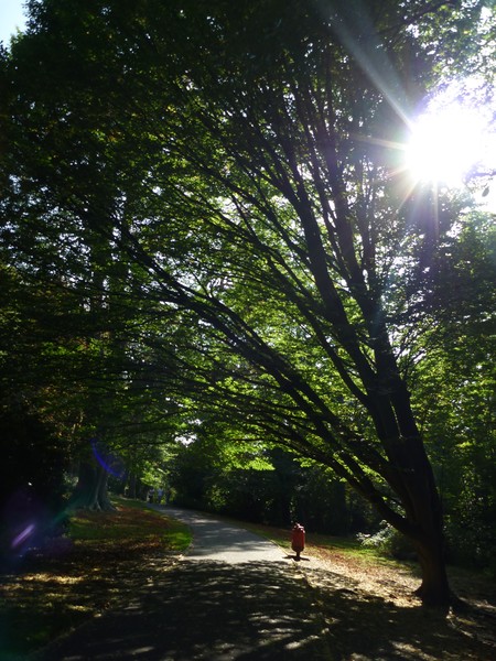 A Walk in the Park