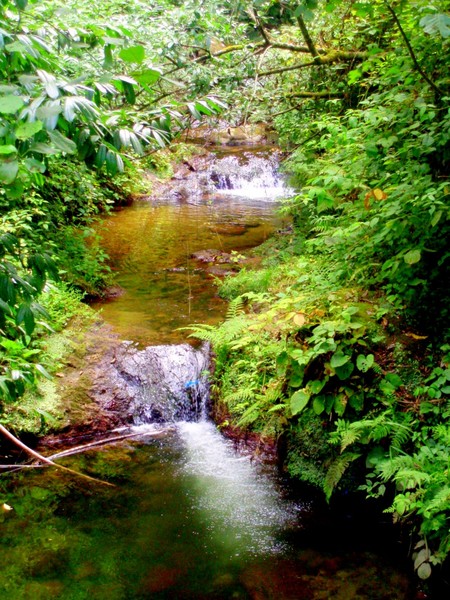 a creek