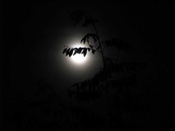 Moon in hiding