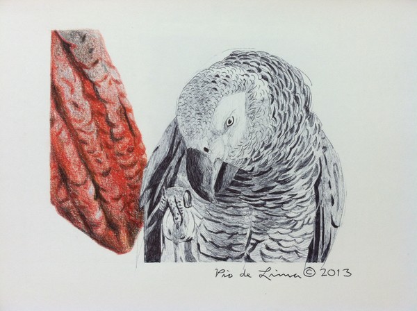 African Grey Parrot (Original Artwork Sold)