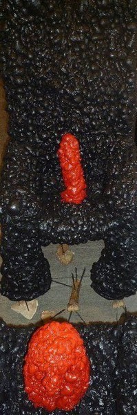 Willi Bambach, LOVE  Love Variation, Detail Penis, Vagina, 2010