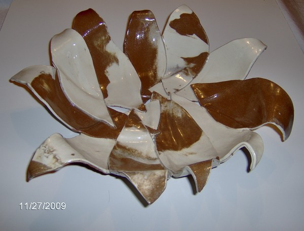 Brown and white bowl
