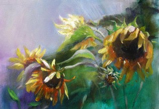 Sunflowers