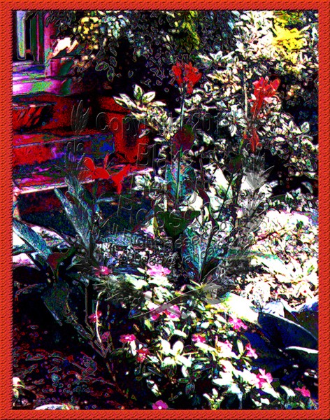 3 Red flowers landscape steps