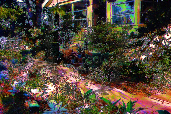 Inviting Garden Walkway