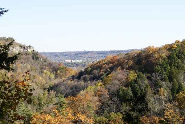 Another Fall View