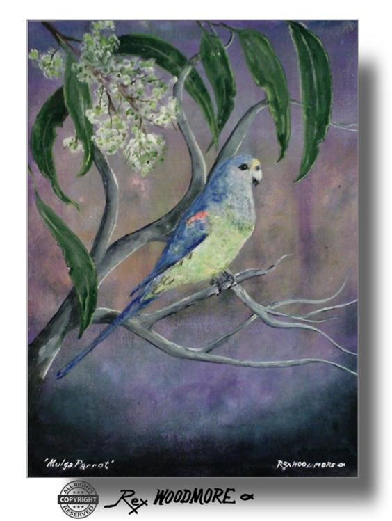 Mulga Parrot